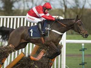 Cheltenham Betting Preview and Odds - Buveur D'air