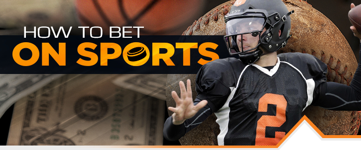 Best On line Sportsbook foxhunter chase To have You S Participants