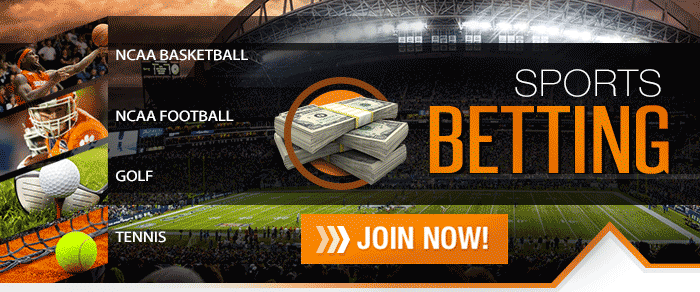 Portal with articles on sports-betting - an essential article
