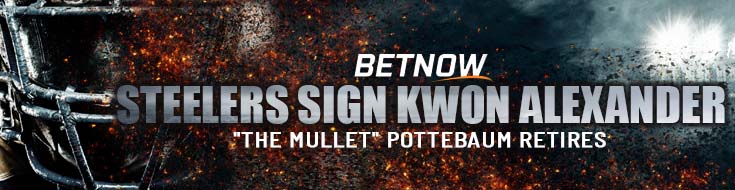 NFL Update Steelers Sign Kwon Alexander, The Mullet Pottebaum Retires