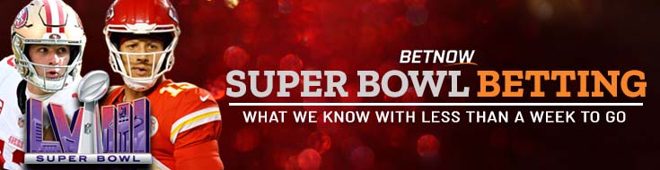 Super Bowl Betting What We Know With Less Than a Week to Go