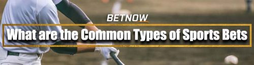 What are the Common Types of Sports Bets