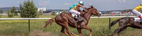 Harnessing Opportunity: The Unfolding Impact of Kentucky Downs on the Keeneland September Yearling Sale