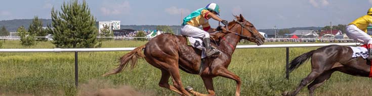 Harnessing Opportunity: The Unfolding Impact of Kentucky Downs on the Keeneland September Yearling Sale