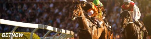 Exploring the 2024 Clark Stakes Odds and Picks
