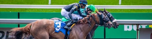 How to Spot Value Bets in Horse Racing