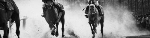 Understanding Racebook Betting Terms and Jargon