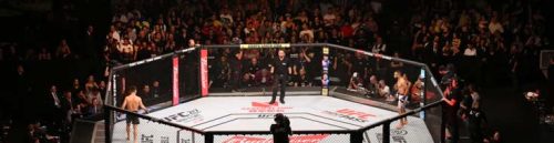 Where Can I Place UFC Bets Online?