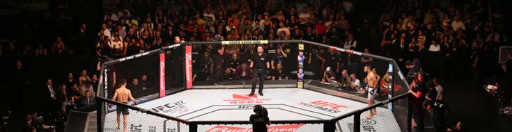 Where Can I Place UFC Bets Online?