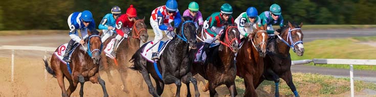 A Guide to the Various Types of Bets You Can Place in Racebooks