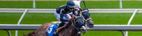 Can I Bet on Multiple Horses in a Single Racebook Bet?