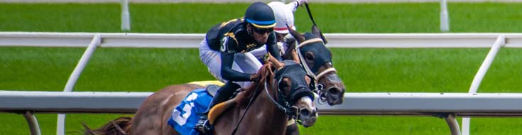 Can I Bet on Multiple Horses in a Single Racebook Bet?