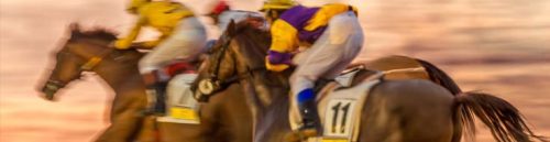 Key Factors Affecting Betting Odds in Racebooks