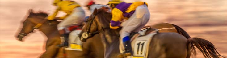 Key Factors Affecting Betting Odds in Racebooks