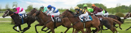 How Does the Age of a Horse Affect Racebook Betting Odds?