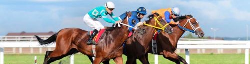 How to Use Morning Line Odds in Racebook Betting