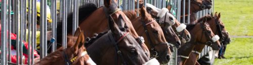 The Most Common Mistakes Racebook Bettors Make