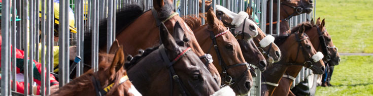 The Most Common Mistakes Racebook Bettors Make