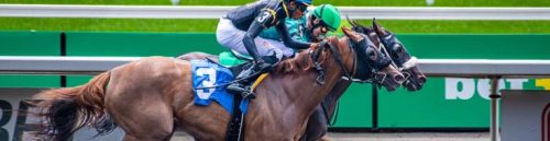 What Is the Difference Between Fixed Odds and Pari-Mutuel Betting?