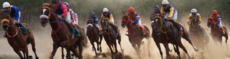 What Is the Role of a Handicapper in Racebook Betting?