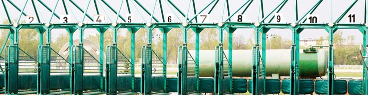 How Do I Choose the Best Racebook Platform for Online Betting?