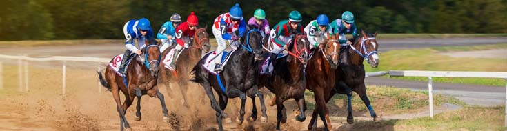 Online Horse Racing Betting for Beginners and How to Pick the Right Racebook
