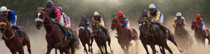 What Are the Benefits of Betting on Favorites in a Racebook