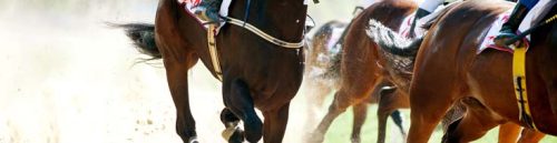 How California's Racebook Scene is Adapting to Digital Trends