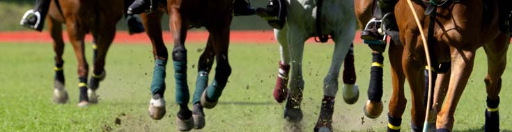 How Can You Succeed at Betting in Georgia on Longshots in the Kentucky Derby?