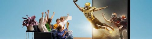 How to Safeguard Your Funds if a California Sportsbook Closes