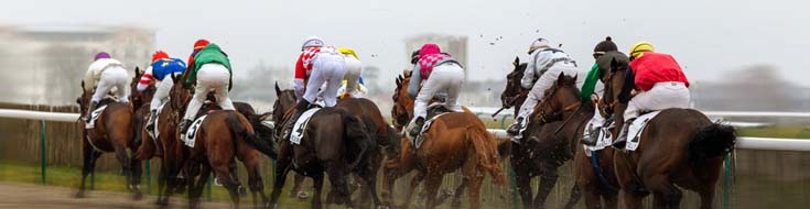 The Best Online Racebooks for Betting on Horse Racing in Texas – A Comprehensive Guide for Local Bettors
