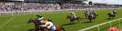 Explore the top Georgia Horse Race Betting Sites for 2025. Find the best odds, expert tips, and trusted sportsbooks for betting on horse racing in Georgia!