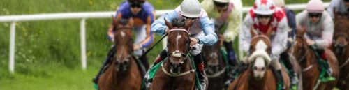 Challenges and Advantages of Live Betting on Horse Races at Georgia Racebook