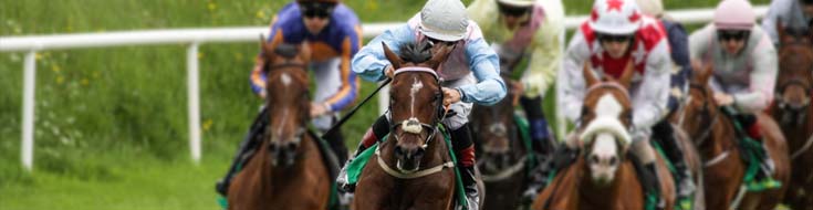 Challenges and Advantages of Live Betting on Horse Races at Georgia Racebook