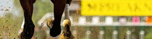 Crypto Betting at Texas Racing Sites for the 2025 Kentucky Derby