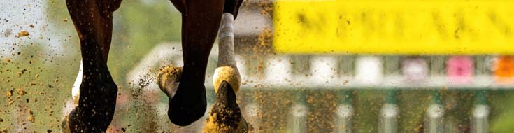 Crypto Betting at Texas Racing Sites for the 2025 Kentucky Derby