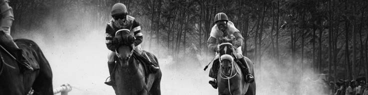 Can Texas Racebook Feeds Improve Your Betting