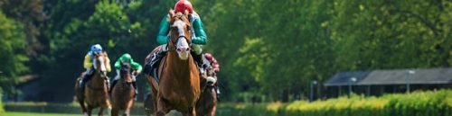 How to Read a Race Card on Texas Racebook Platforms