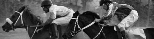 2025 Belmont Stakes Betting Strategy and Race Analysis