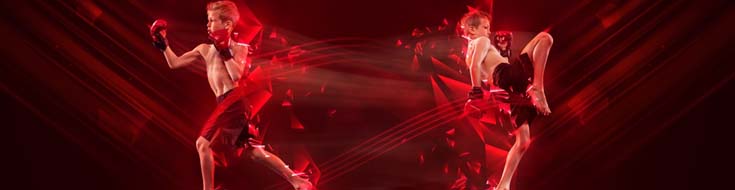 Fighter Styles and UFC Bets at Florida Sportsbooks