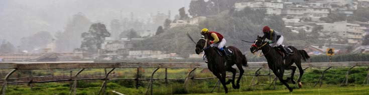 How California Racebooks Use Weather to Adjust Odds