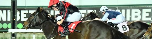 How Odds Are Calculated in a California Racebook