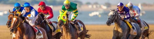 How Player Reviews Affect Florida Racebook Reputation