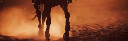 How California Sportsbooks Are Changing Horse Racing