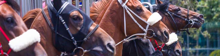 How Late Scratches Affect California Racebook Odds