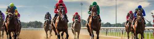 How to Gamble Responsibly on Texas Racebook Sites