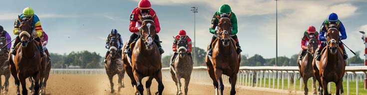 How to Gamble Responsibly on Texas Racebook Sites