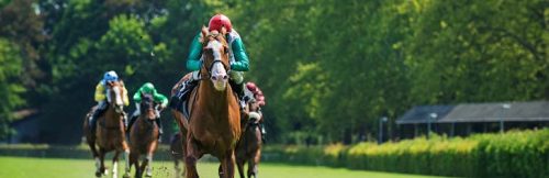 Manage Multiple Florida Racebooks from One Dashboard