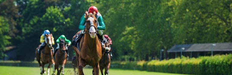 Manage Multiple Florida Racebooks from One Dashboard