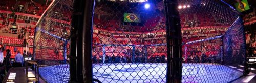 Rising Stars, Risky Bets: Spotlight on UFC 318’s New Blood